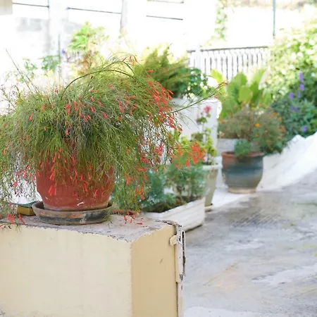 Дом отдыха La Casa D' Irene Айя-Евфимия